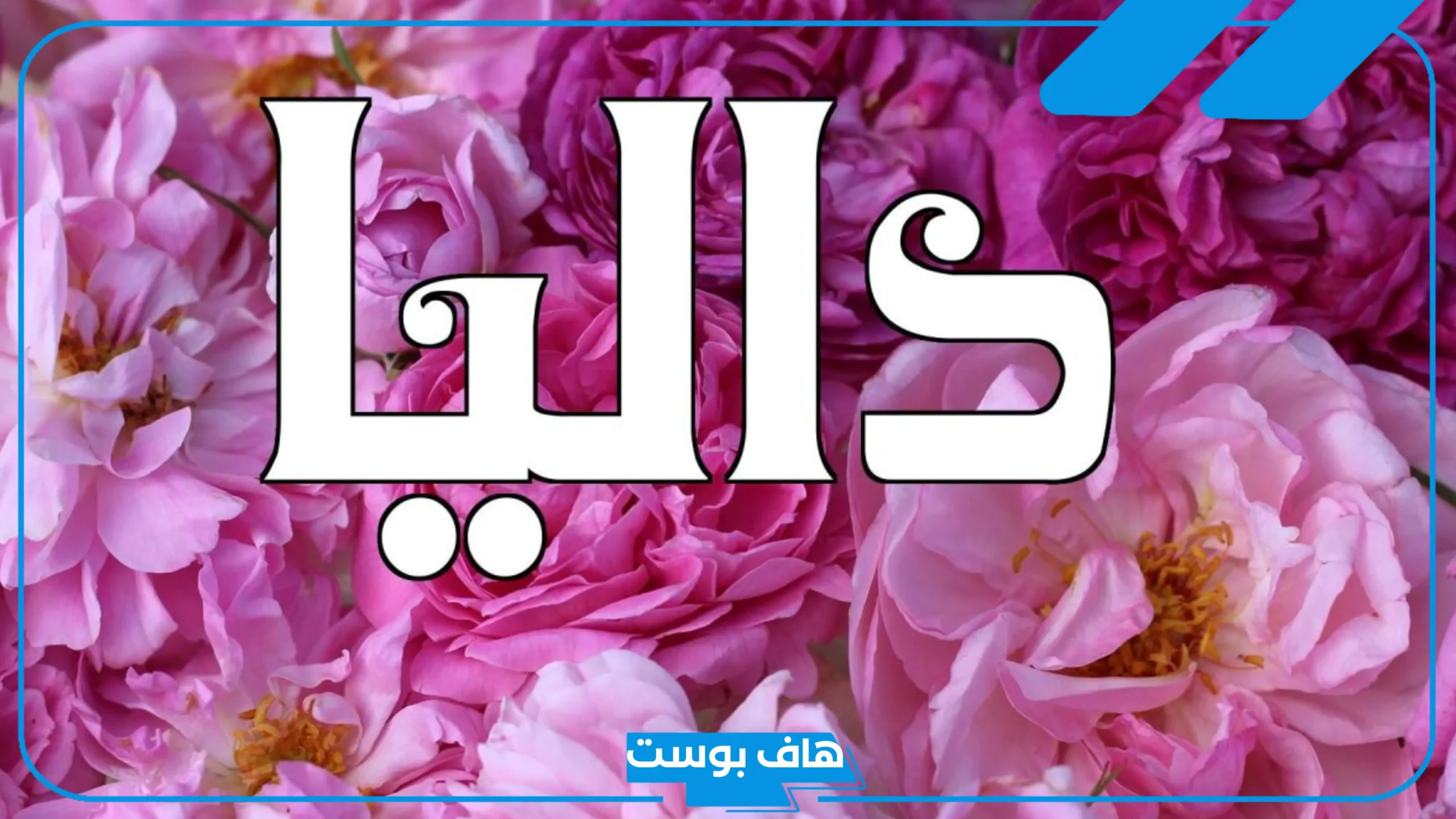 دلع اسم داليا بالعربي والإنجليزي.. معنى اسم داليا وشخصيتها