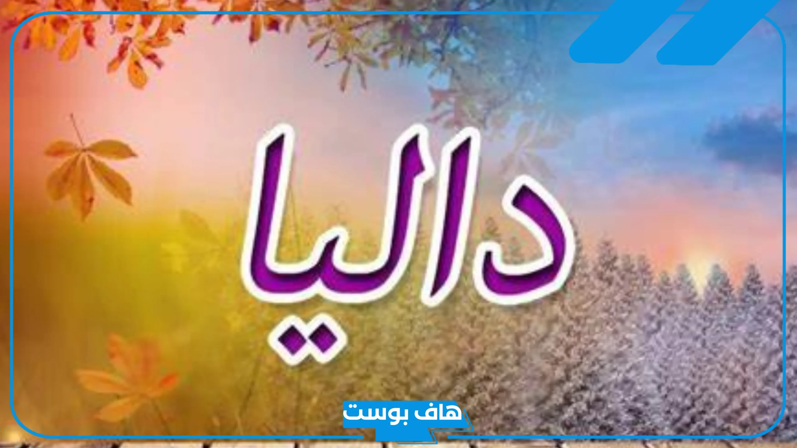 دلع اسم داليا بالعربي والإنجليزي.. معنى اسم داليا وشخصيتها