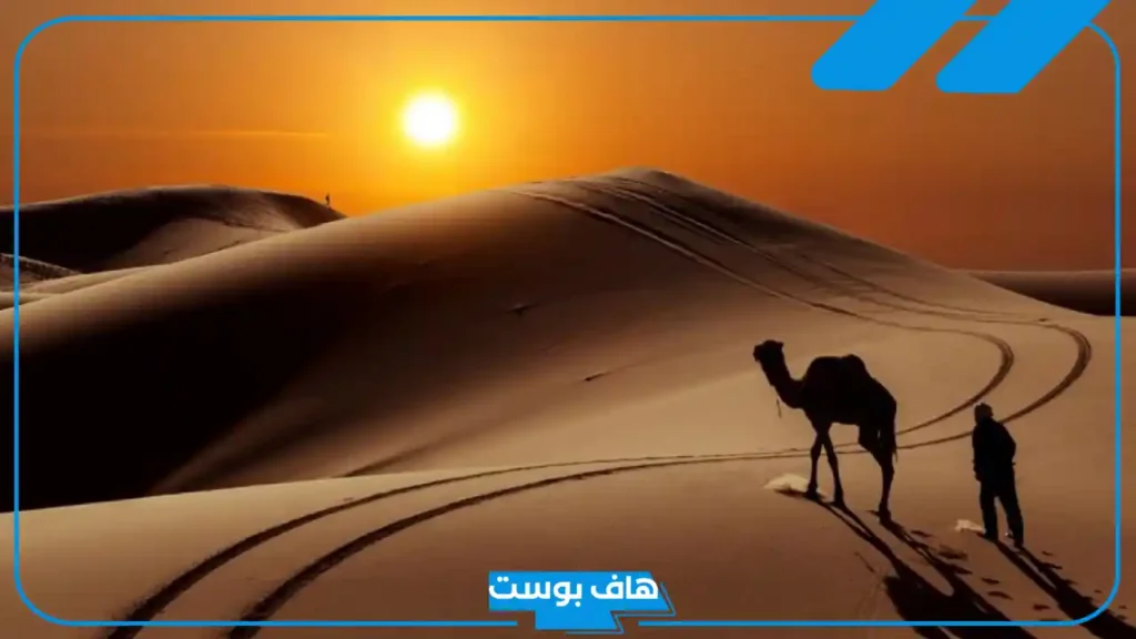 الهذلول وش يرجعون الأصل والنسب.. فروع وبطون قبيلة الهذلي