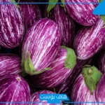 تفسير رؤية الباذنجان في المنام للرجل والمرأة أسود كبيرة