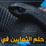 تفسير رؤية الحية في المنام حسب اللون للعزباء لابن سيرين