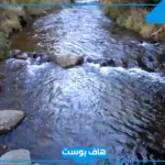 تفسير حلم رؤية الماء الجاري في المنام للعزباء والمتزوجة لابن سيرين