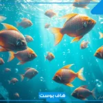 تفسير حلم رؤية السمك في المنام لابن سيرين والنابلسي خارج الماء للمتزوجين