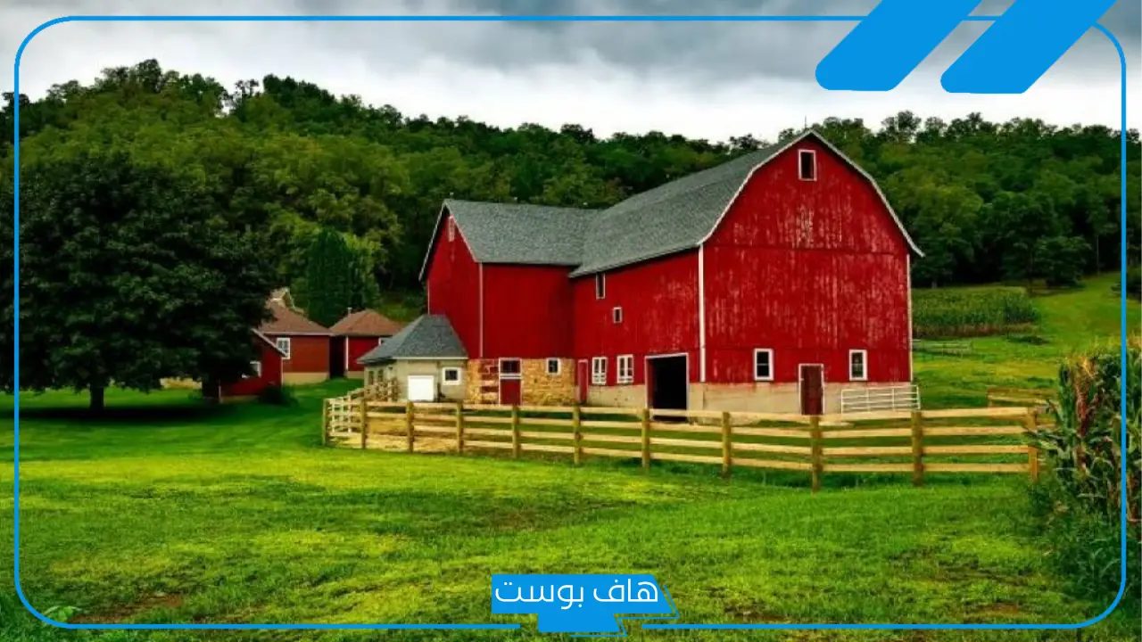 تفسير حلم المزرعه في المنام كبيرة للرجل والمرأة العزباء