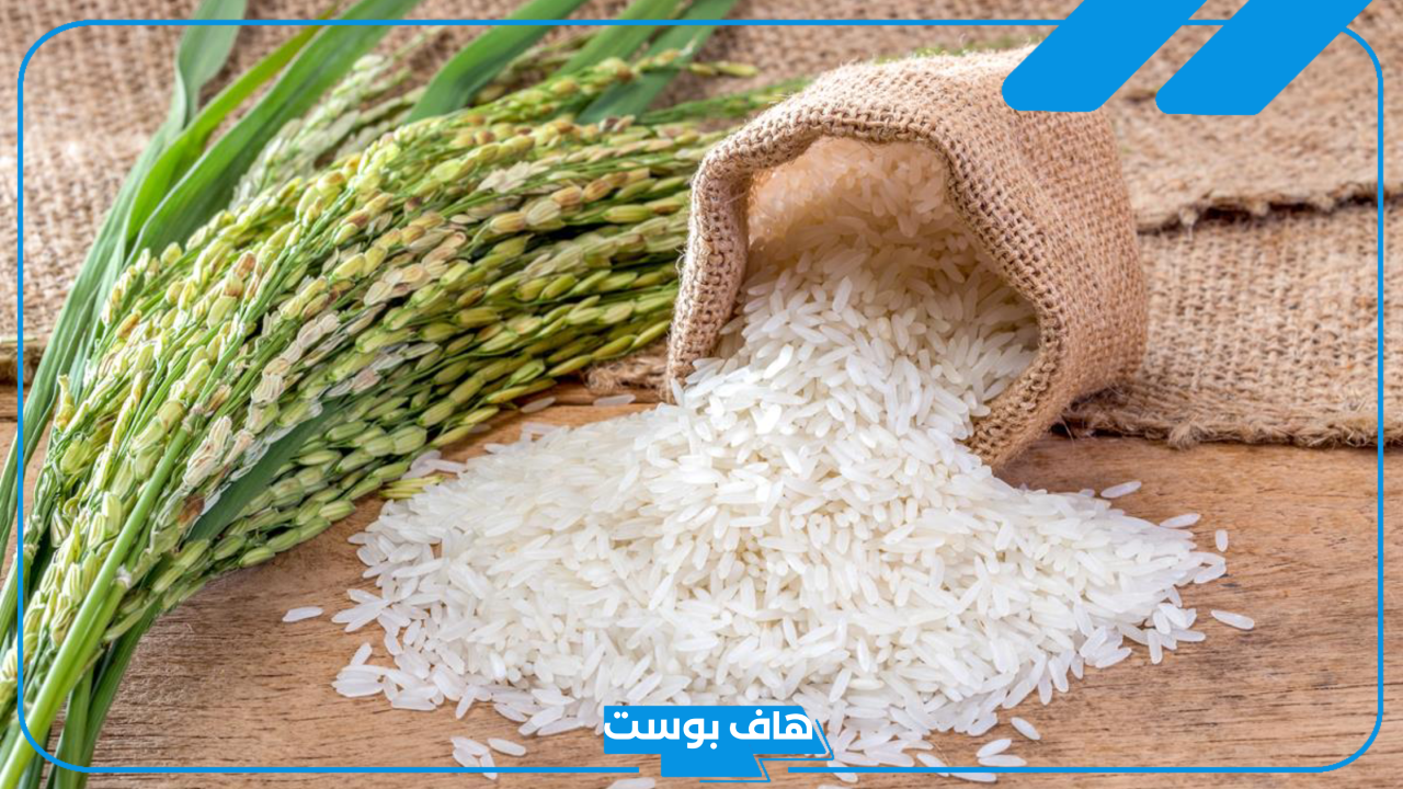 تفسير حلم الارز الأبيض في المنام وطبخه للمرأة لابن سيرين