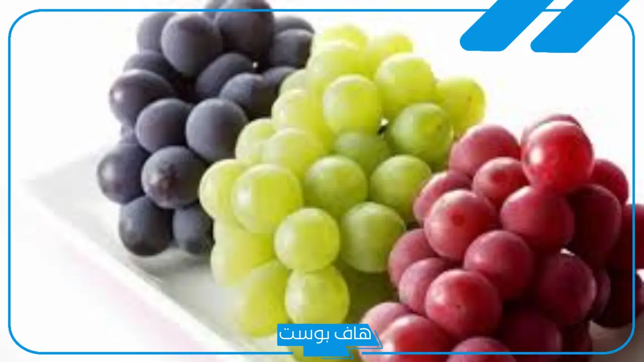 تفسير حلم العنب في المنام لابن سيرين للعزباء والمتزوجة