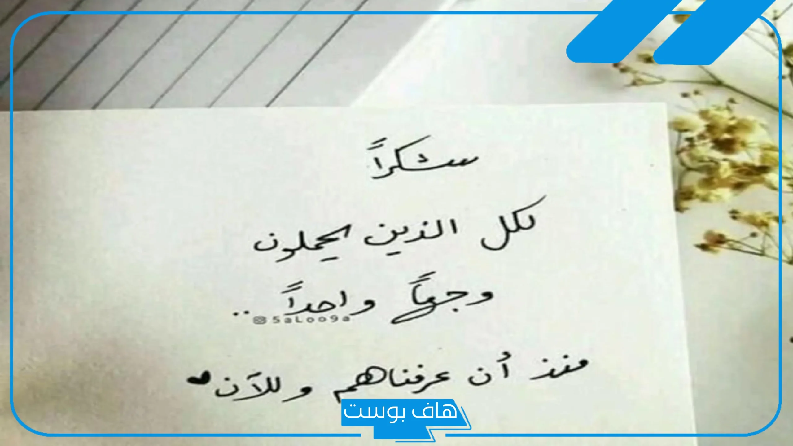 أجمل عبارات شكر على هدية من الأهل ومن الصديق قصيرة