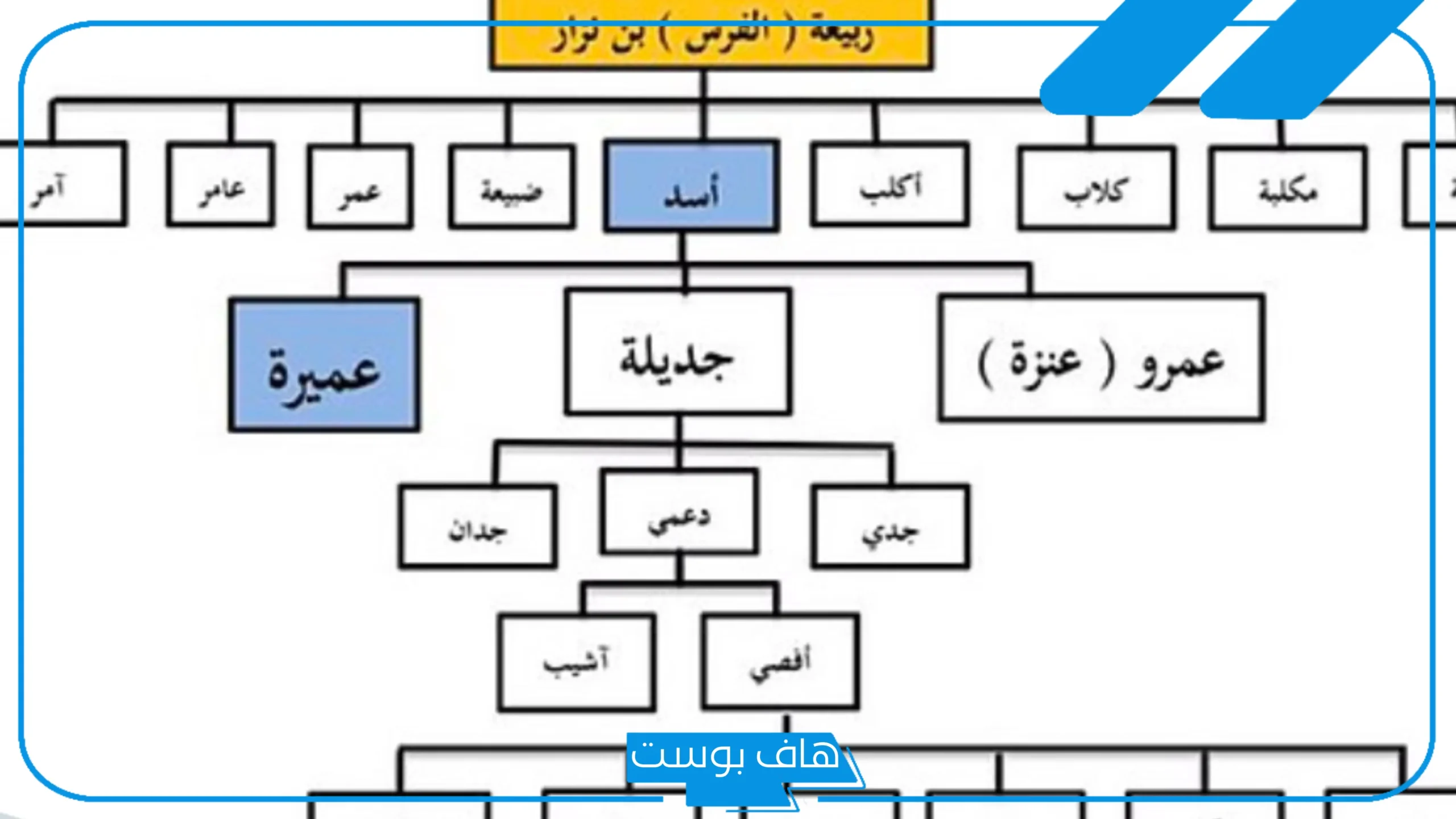 نسب وأصل الاكلبي وش يرجع.. شجرة عائلة الأكلبي وفروعها