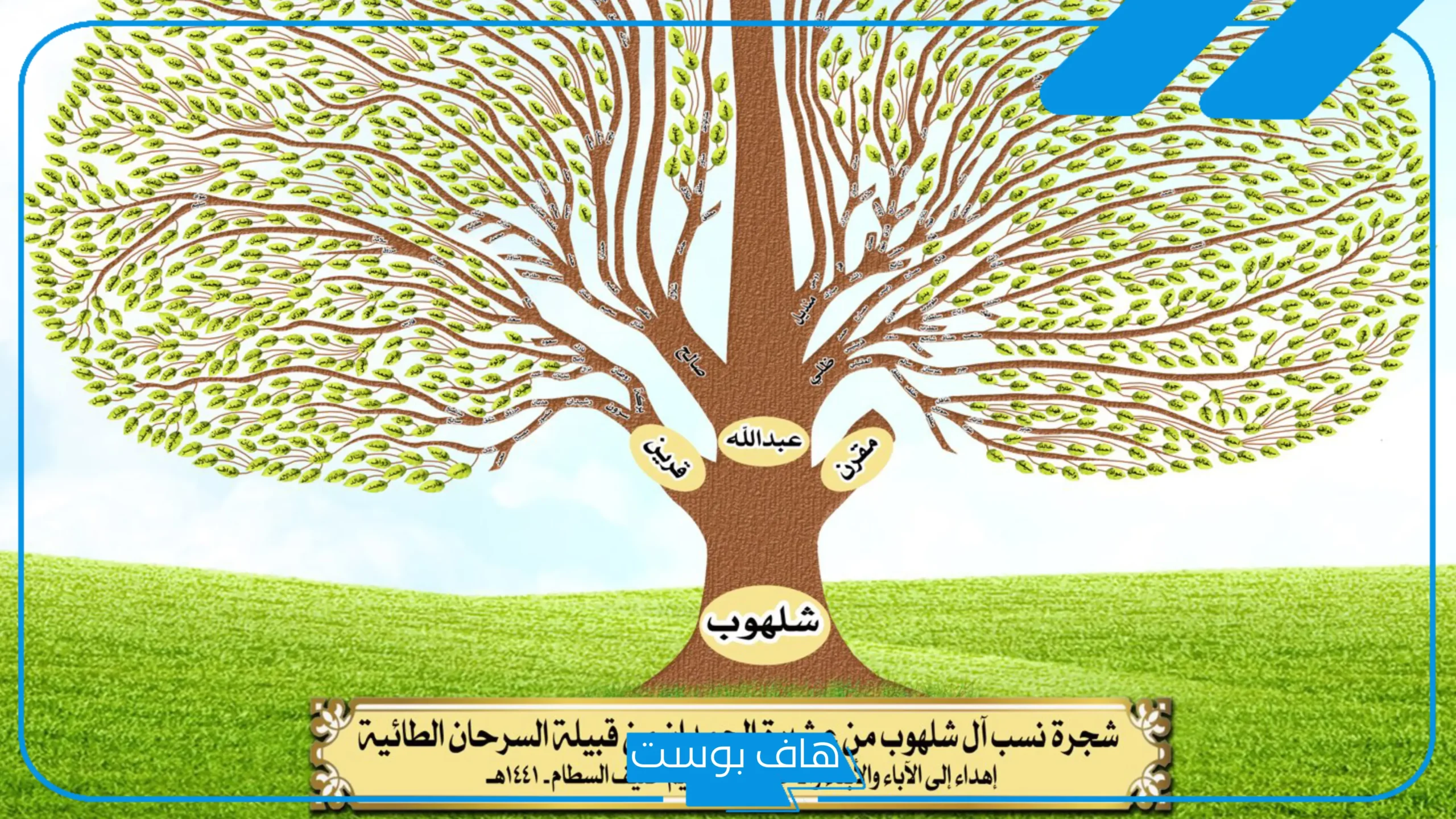 السرحاني وش يرجع النسب.. شجرة عائلة السرحاني وديرتهم وين
