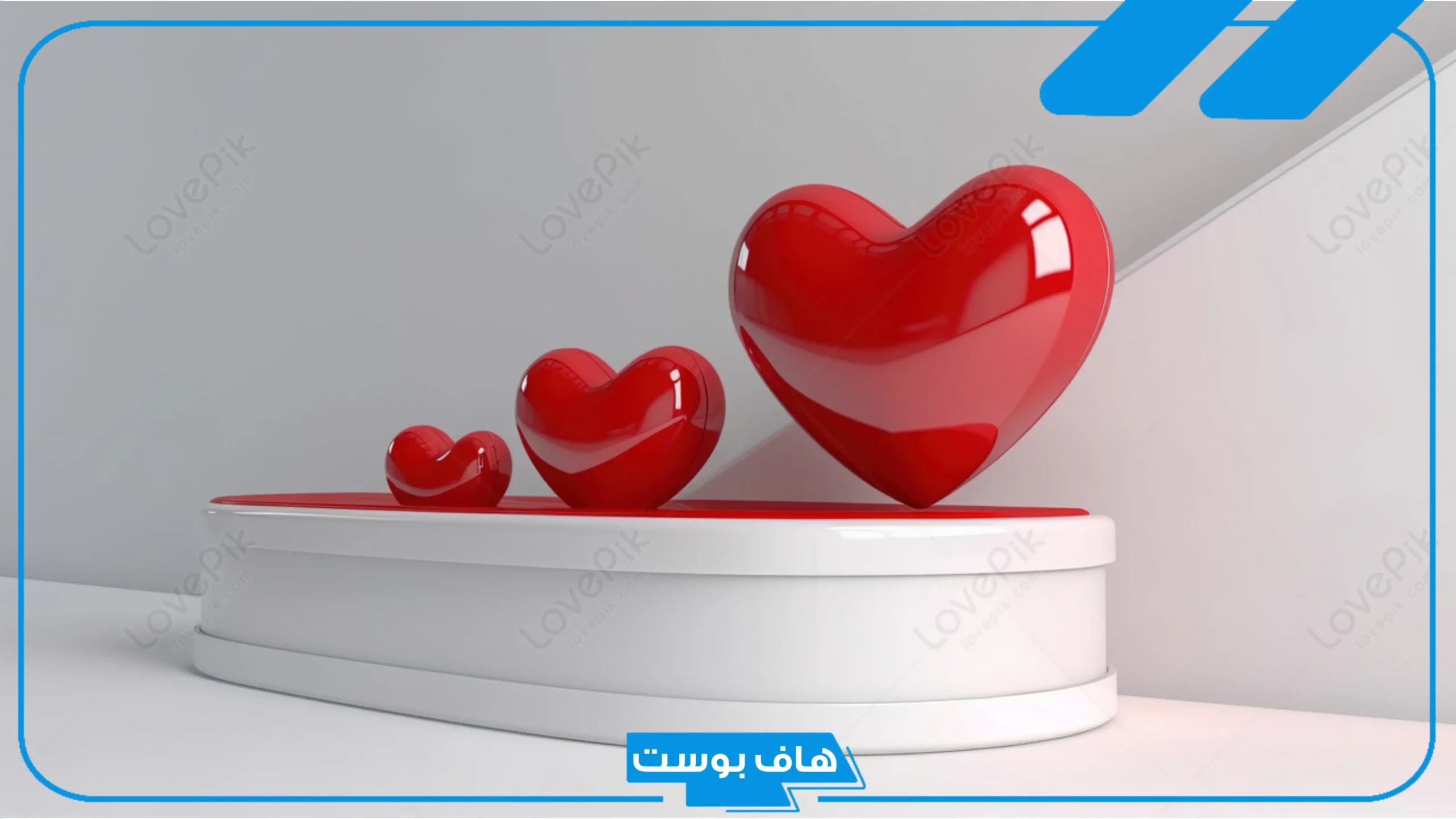 عبارات اهداء قصيرة جميلة لشخص عزيز، أجمل عبارات الإهداء للأصدقاء