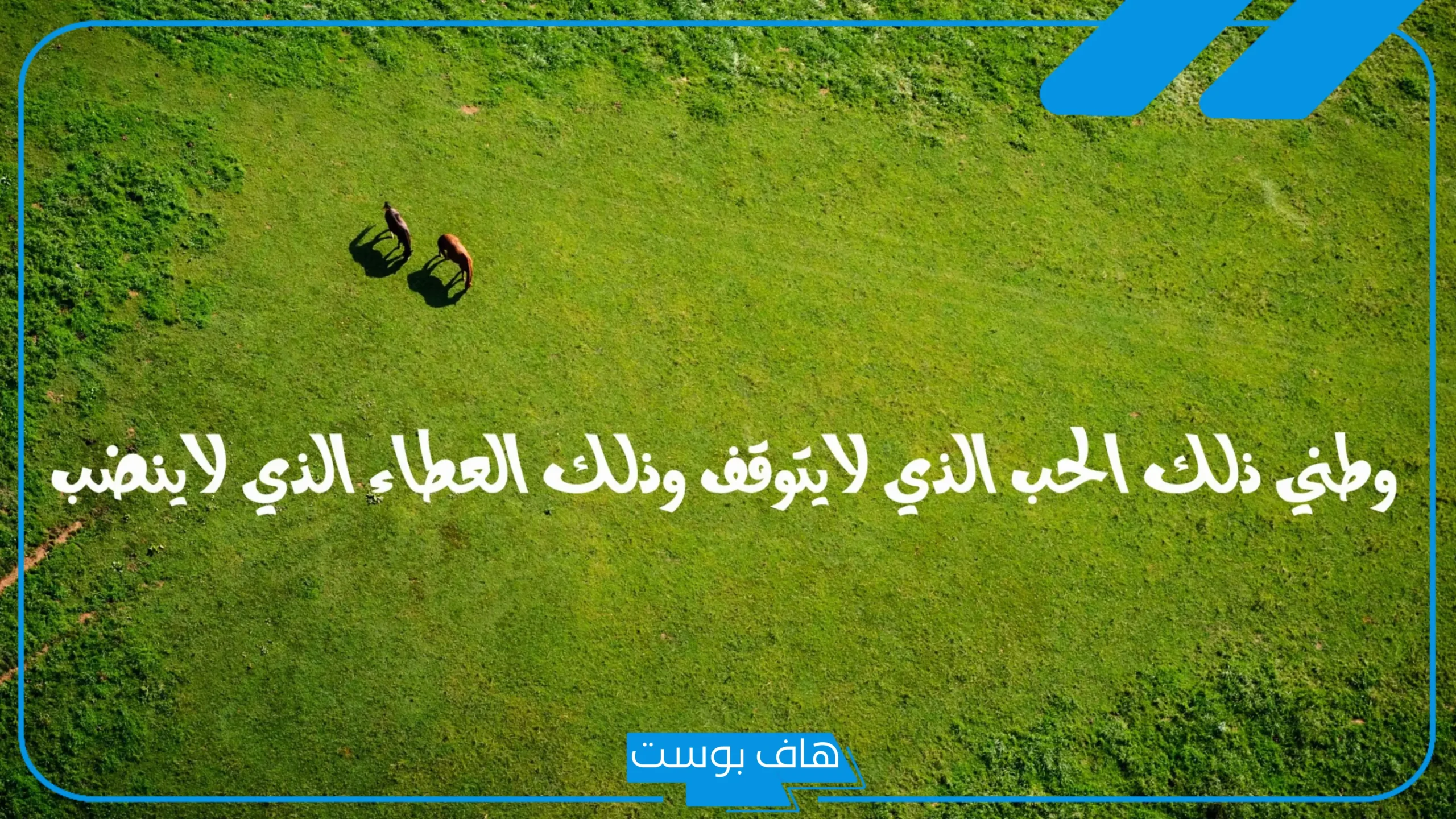 عبارات عن اليوم الوطني للاطفال مكتوبة..جمل عن حب الوطن للصف الثاني الابتدائي