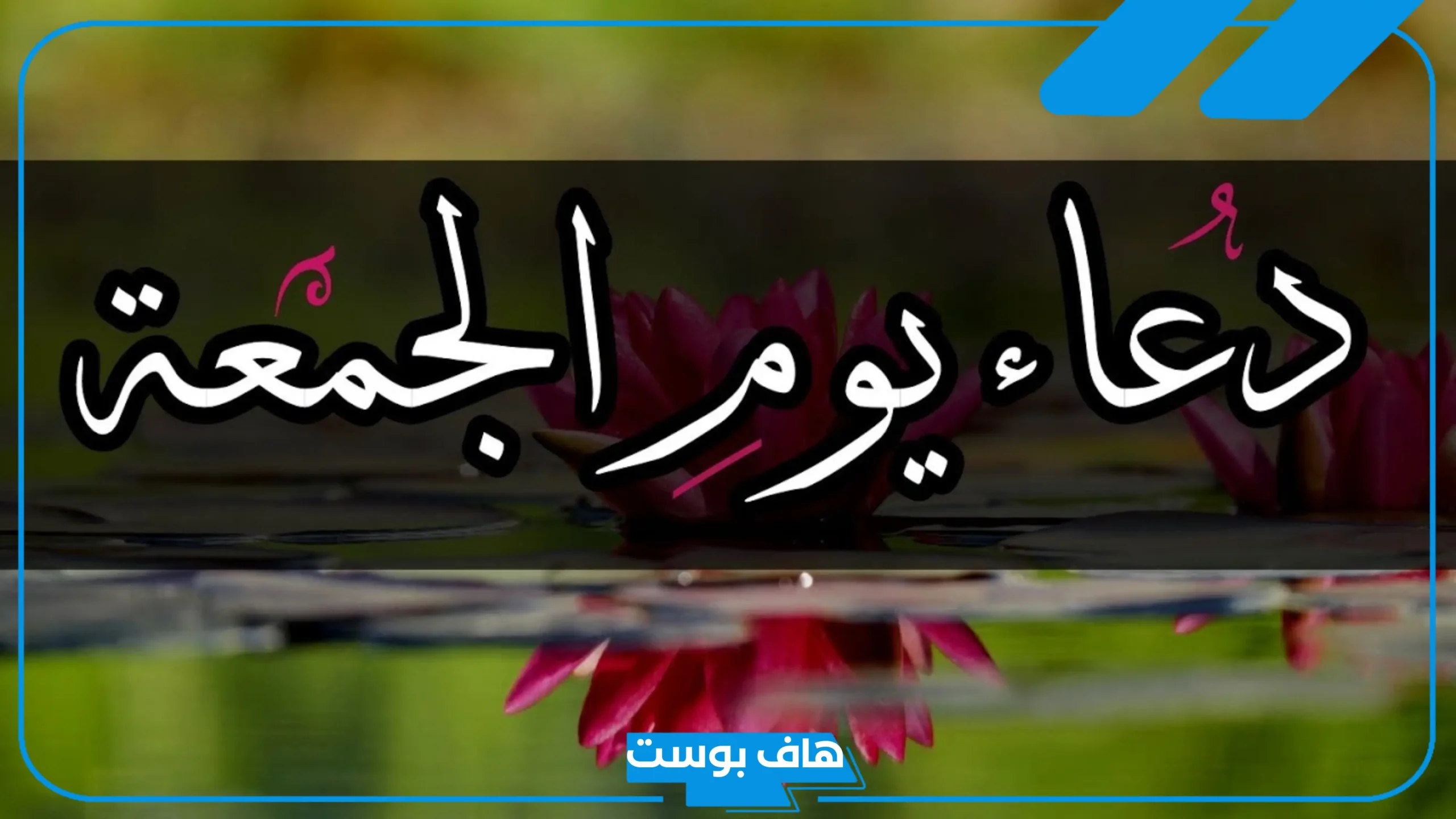 عبارات يوم الجمعه المباركة قصيرة تويتر.. رسائل يوم الجمعة واتس آب