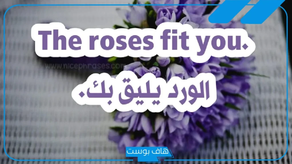 عبارات جميلة عن الورد والزهور جميلة تويتر.. اجمل ما قيل عن زهرة