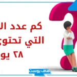 ماهو عدد الأشهر التي تحتوي على 28 يوما و29 يومًا و30 يومًا؟
