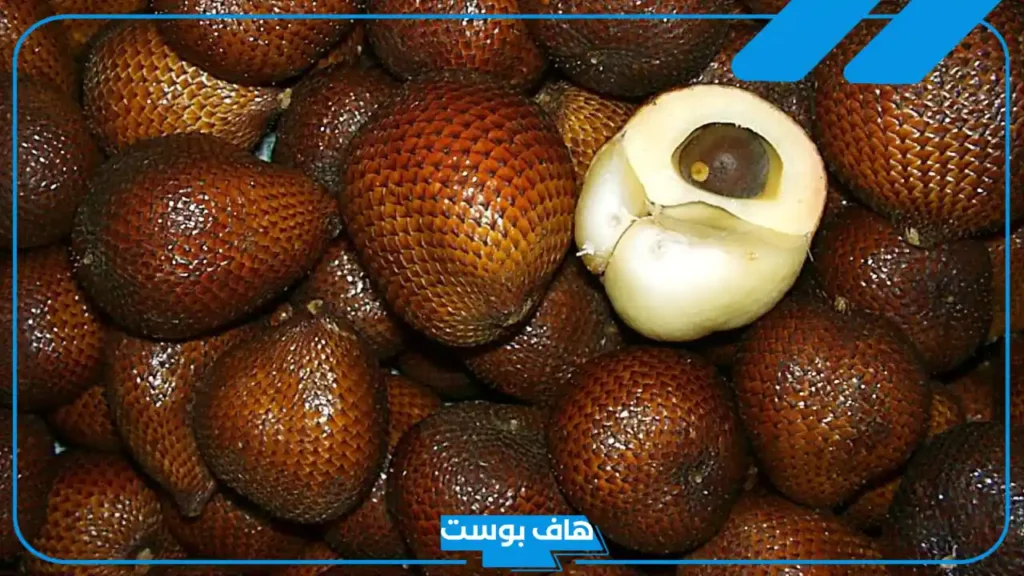 أسماء فاكهة بحرف الثاء مشهورة.. أسماء فواكه استوائية تبدأ بحرف ث