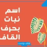 أسماء نبات بحرف القاف من ثلاث حروف، نباتات تبدأ بحرف ق