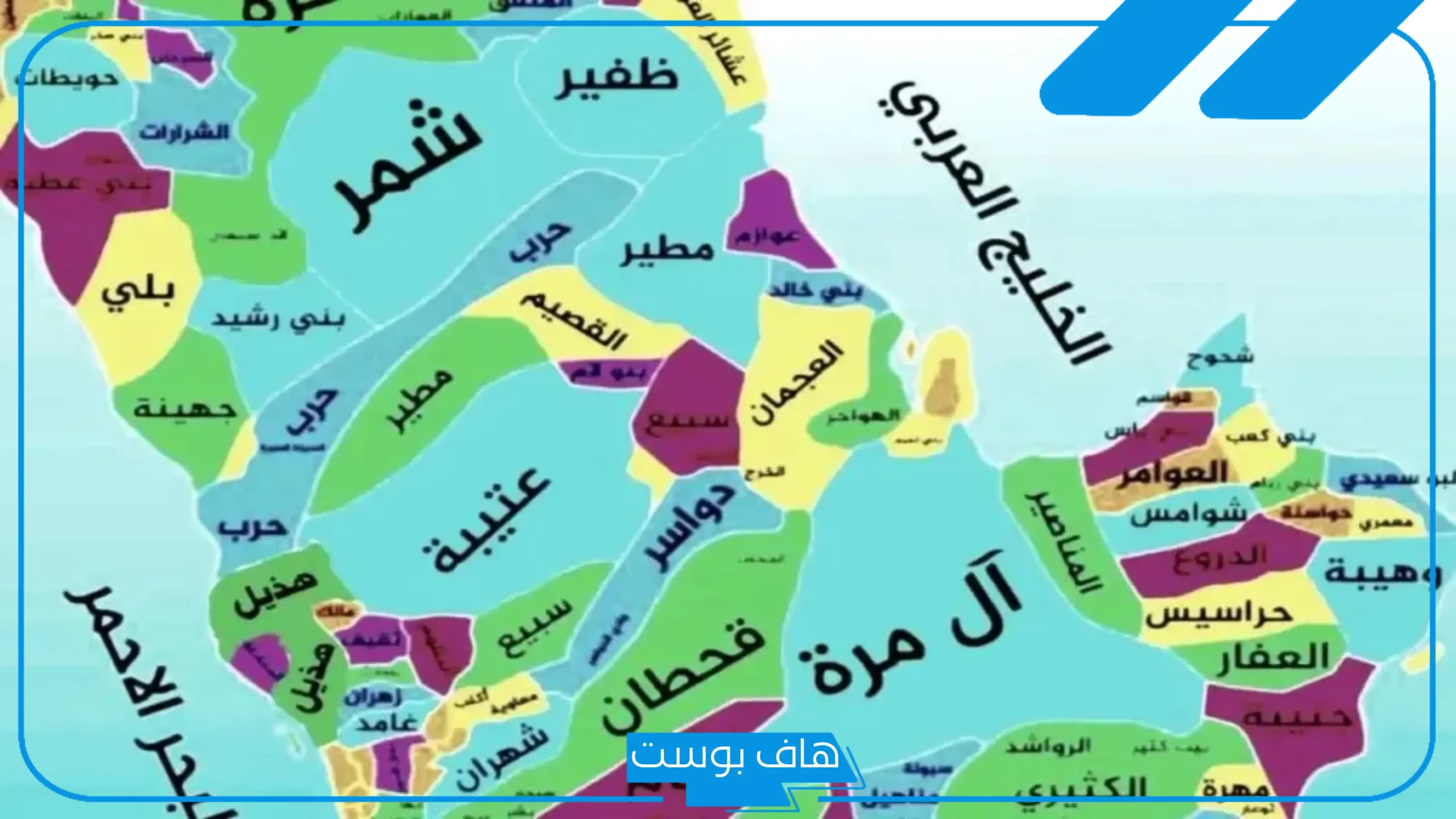 نسب وأصل الاكلبي وش يرجع.. شجرة عائلة الأكلبي وفروعها