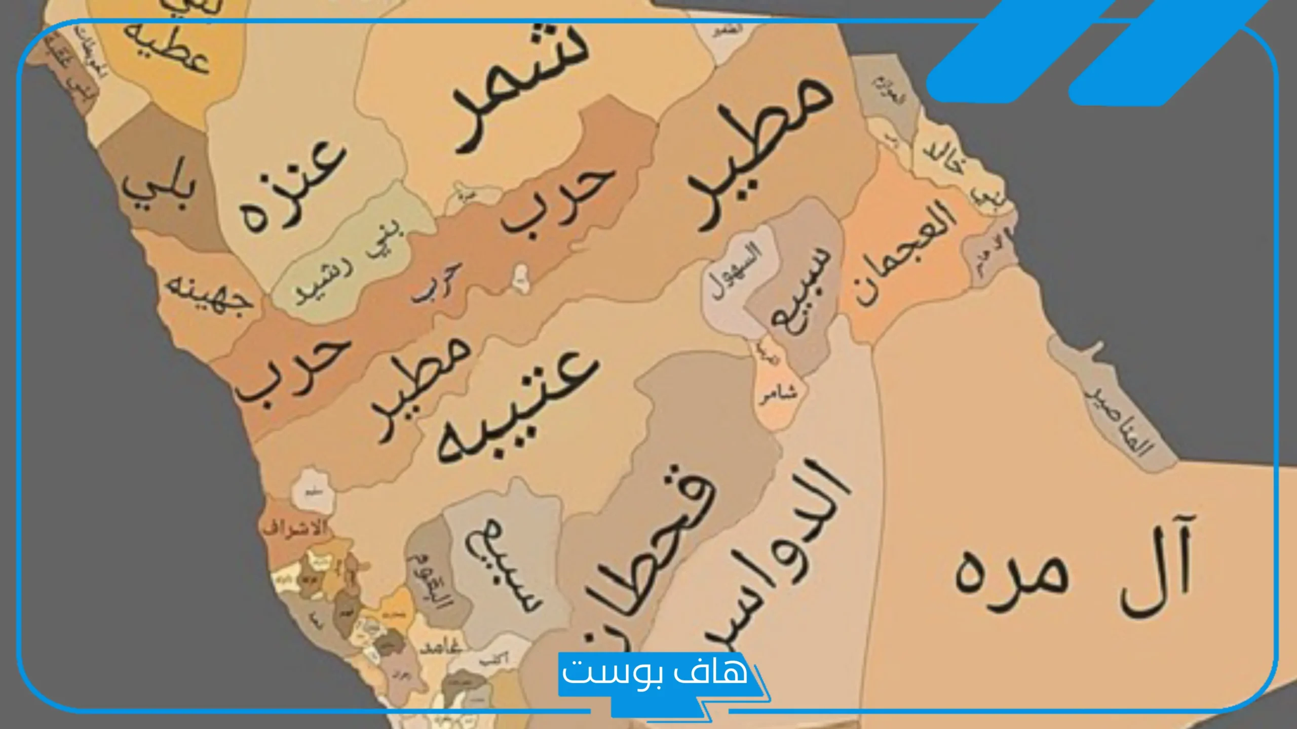 نسب السهلي وش يرجع وأصله من وين.. شجرة عائلة السهلي وفروعها