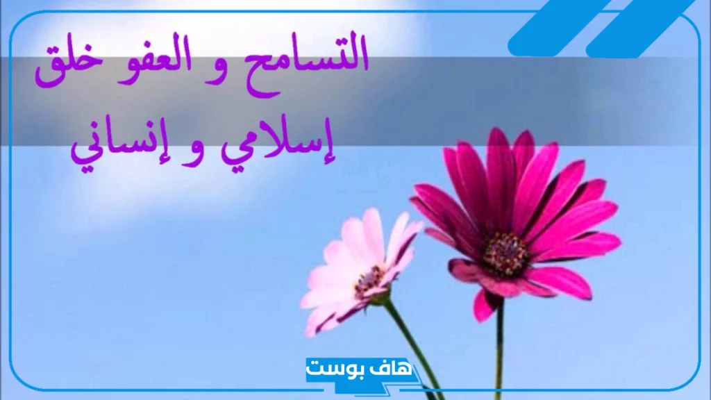 كلمات عن التسامح وصفاء القلوب قصيرة جميلة.. أجمل ما قيل عن التسامح وصفاء الروح