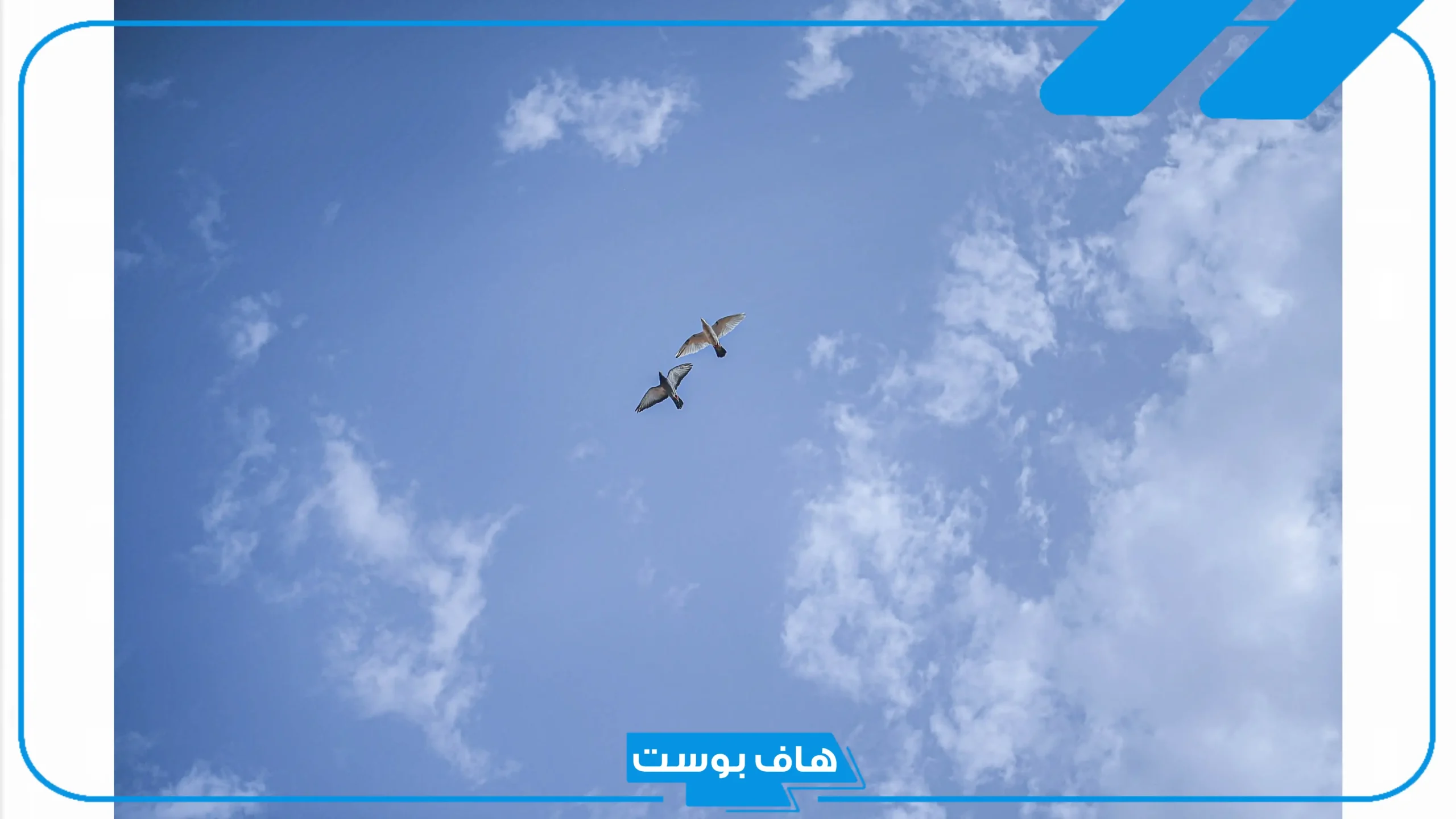 أروع عبارات وصف الغيوم في السماء تويتر.. أجمل عبارة عن الغيوم والقمر