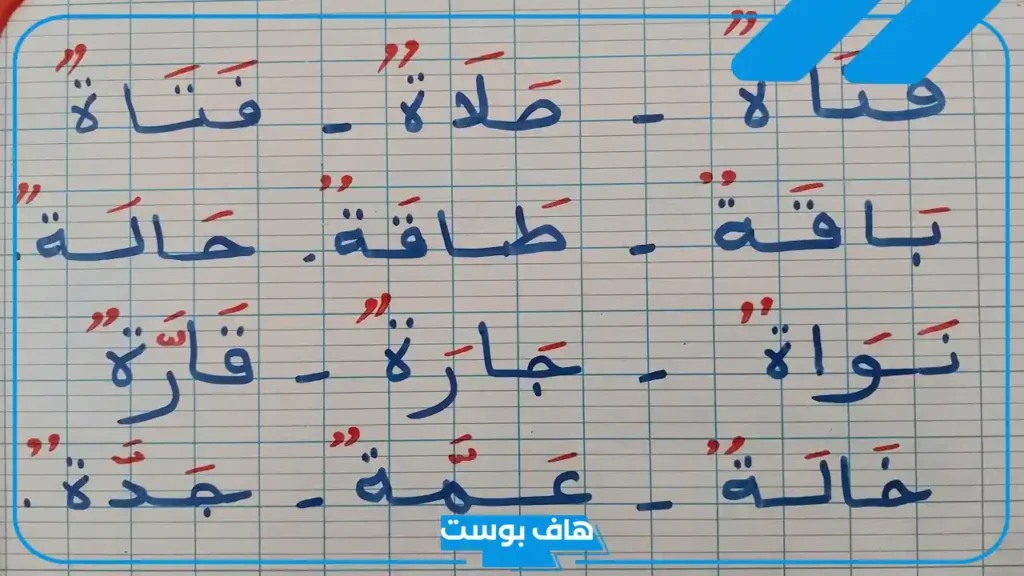 كلمة تنتهي بتاء مربوطة منفصلة ومتصلة