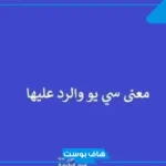 معنى كلمة سي يو والرد عليها See you.. إذا قالي أحد سي وش أرد؟