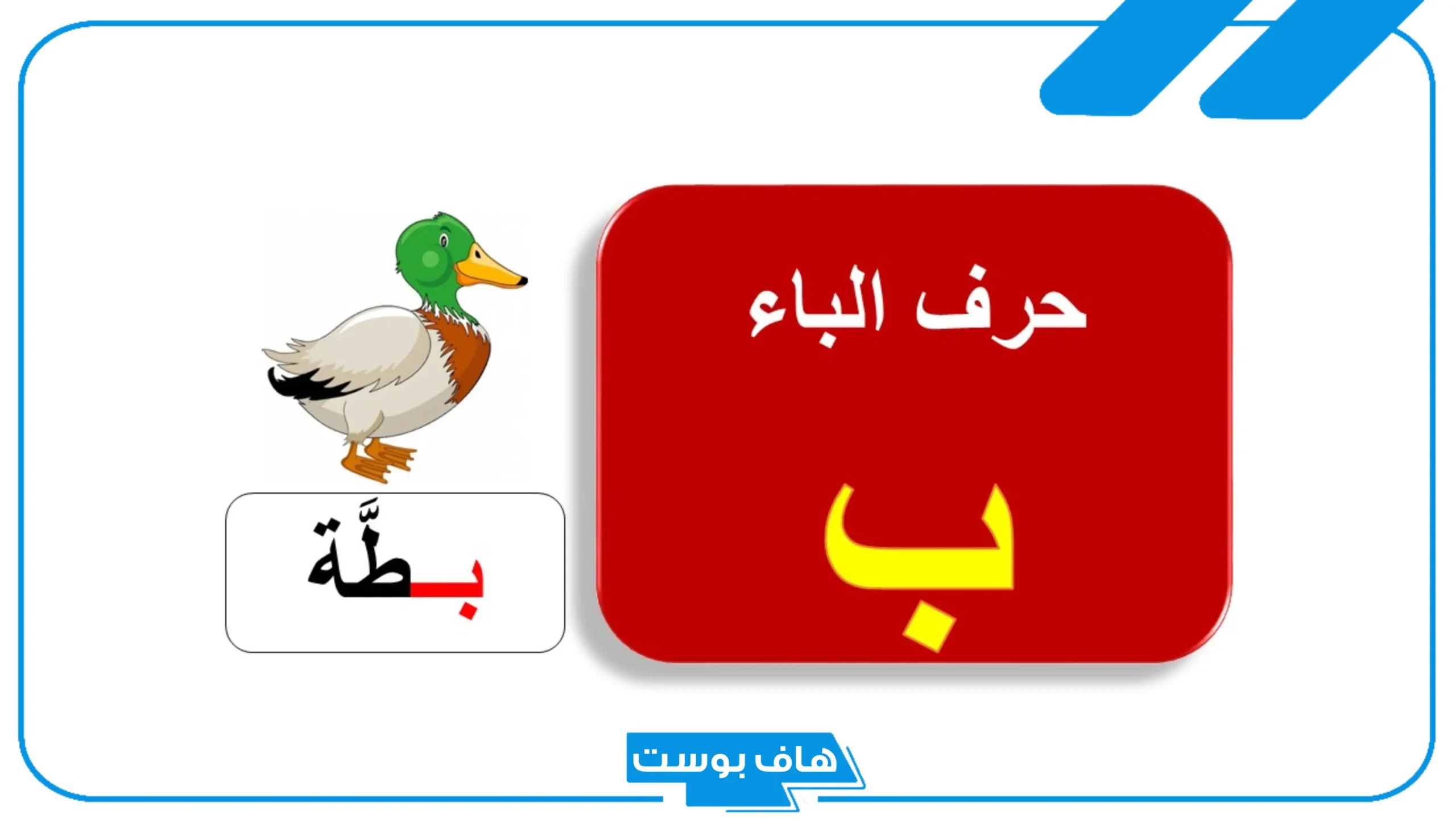 اسم حيوان بحرف ب الباء معروف، حيوانات تبدأ بحرف باء