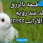 تفسير حلم الارنب في المنام للمرأة المتزوجة والعزباء ورؤيته لابن سيرين