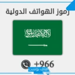 966 مفتاح اي دولة من الدول؟ حقائق ومعلومات