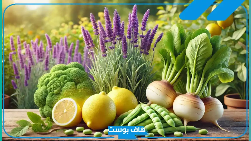 أسماء نبات بحرف اللام ل، اسم نبات يبدأ بحرف اللام زينة