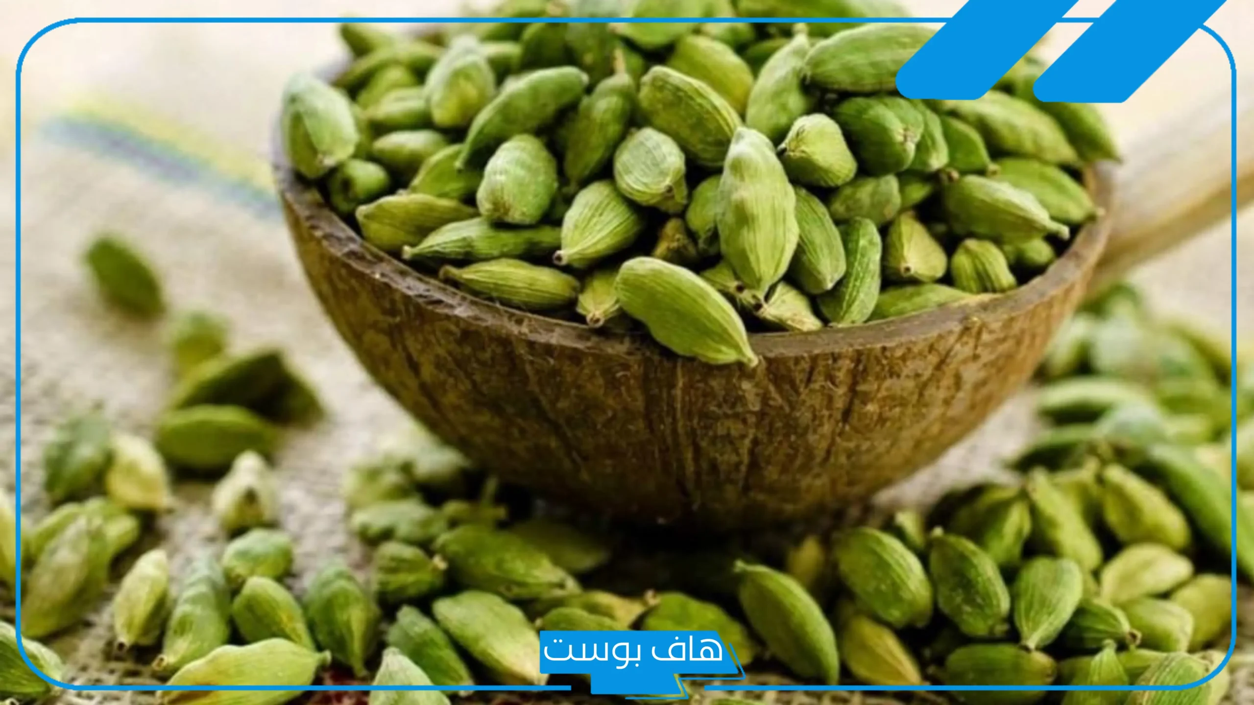 اسم نبات بحرف الهاء هـ غير معروف، نباتات بحرف الهاء من ستة حروف