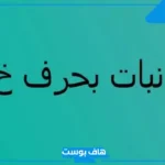 اسم نبات بحرف خ الخاء.. اسماء نباتات تبدأ بحرف خ