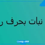 أسماء نبات بحرف ر الراء.. اسم نبات يبدأ بحرف راء