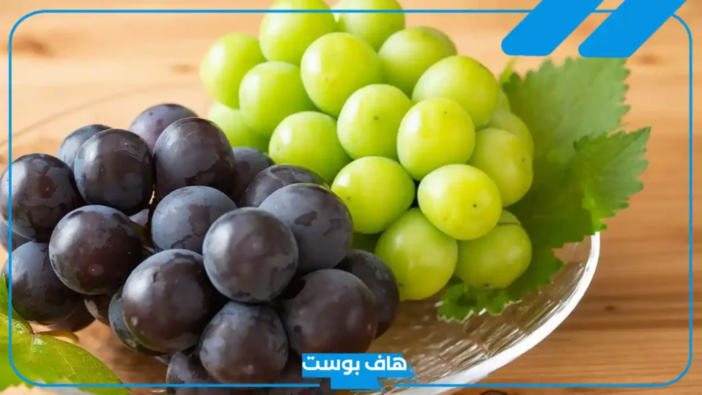 اسم نبات بحرف العين ع.. أسماء نباتات تبدأ بحرف ع