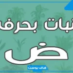 اسم نبات بحرف ض معروف.. أسماء نباتات بحرف ضاد من ستة حروف