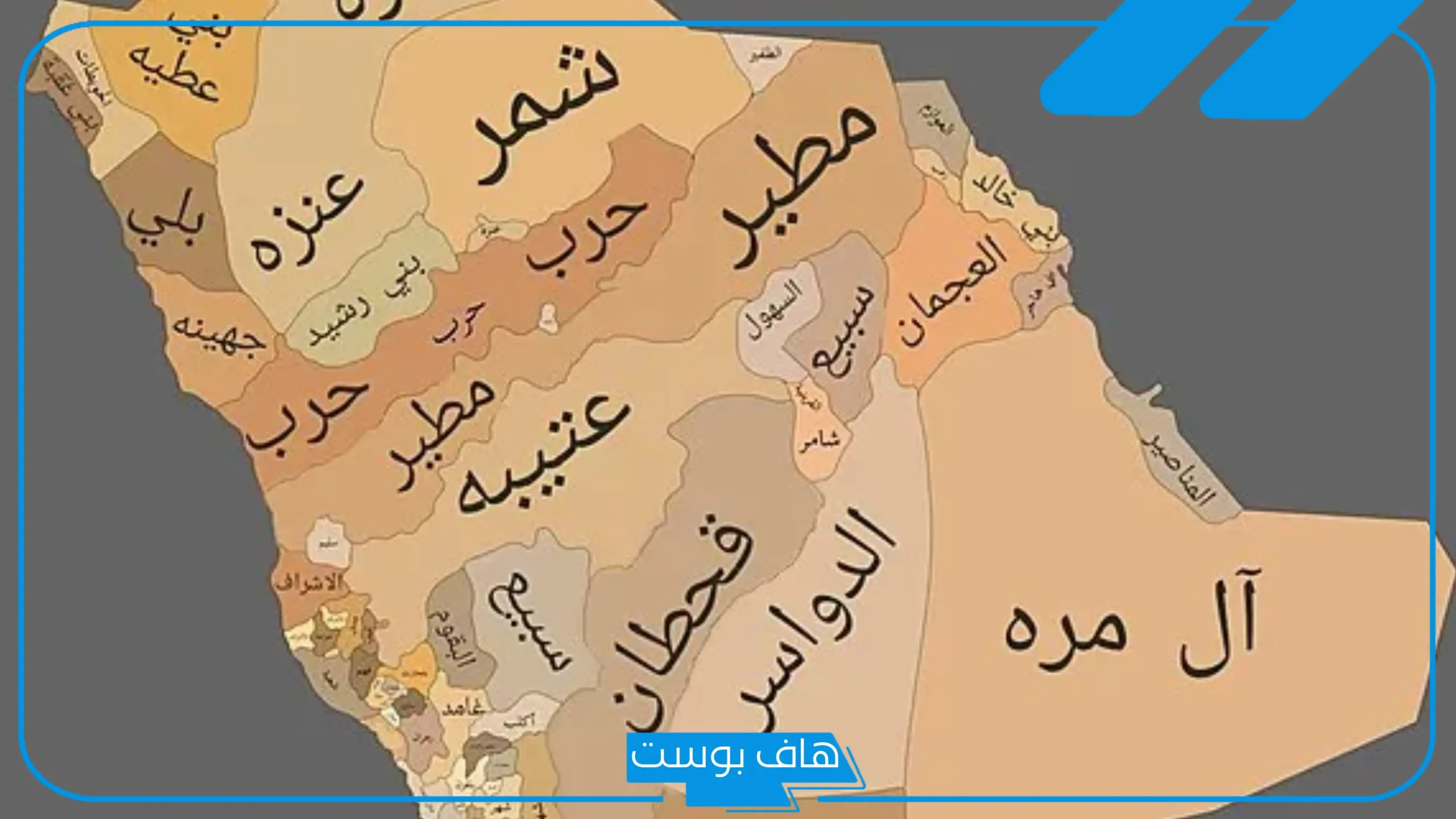 عائلة النمله وش يرجعون النسب والأصل والشجرة، ديار عائلة النملة