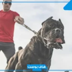 أسماء كلاب ذكور شرسة بالإنجليزي والعربي جيرمن وروت
