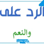 وش الرد على والنعم منك ومن أصلك؟ والنعم فيك تويتر
