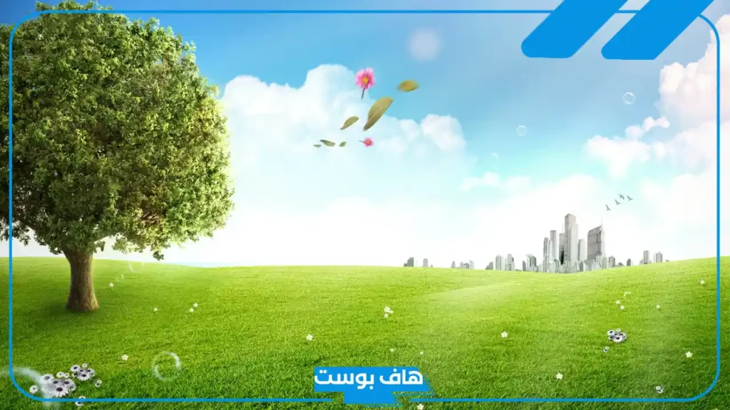 تفسير حلم الارض الخضراء في المنام لابن سيرين للحامل والعزباء