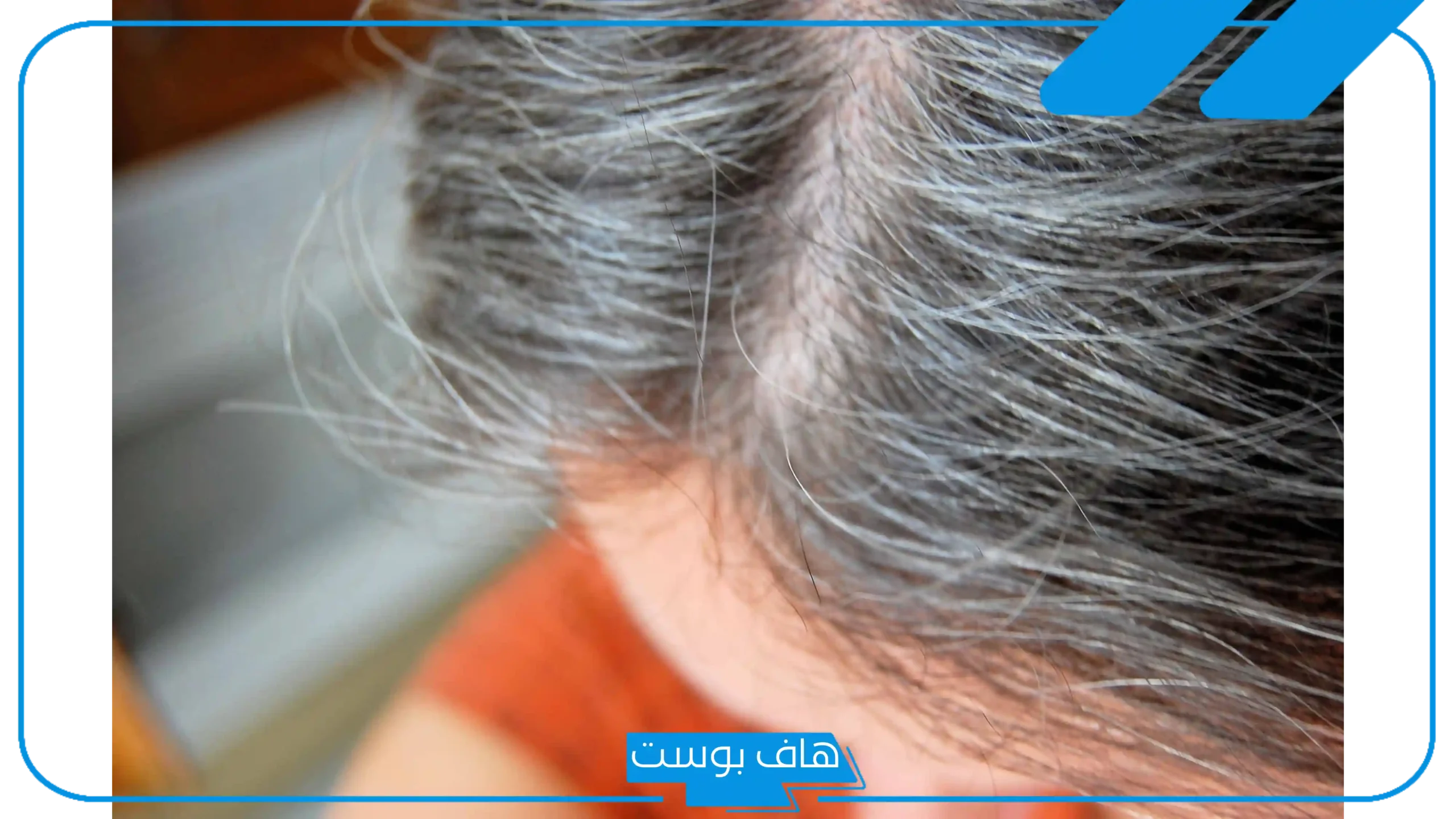 تفسير حلم الشعر الابيض في المنام للرجل والمرأة المتزوجة لابن سيرين