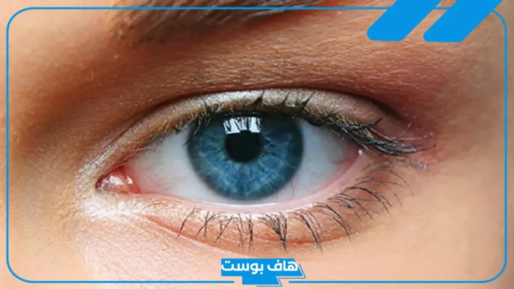 تفسير رؤية العيون الزرقاء في المنام لابن سيرين للرجل والمرأة