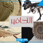 بحث عن الاحافير متكامل الفقرات من المقدمة للخاتمة