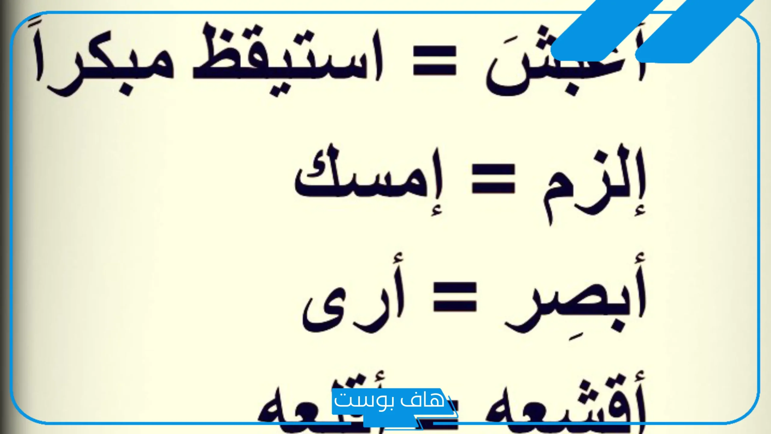 كلمات حجازيه ومعناها.. أشهر كلمات أصيلة حجازية