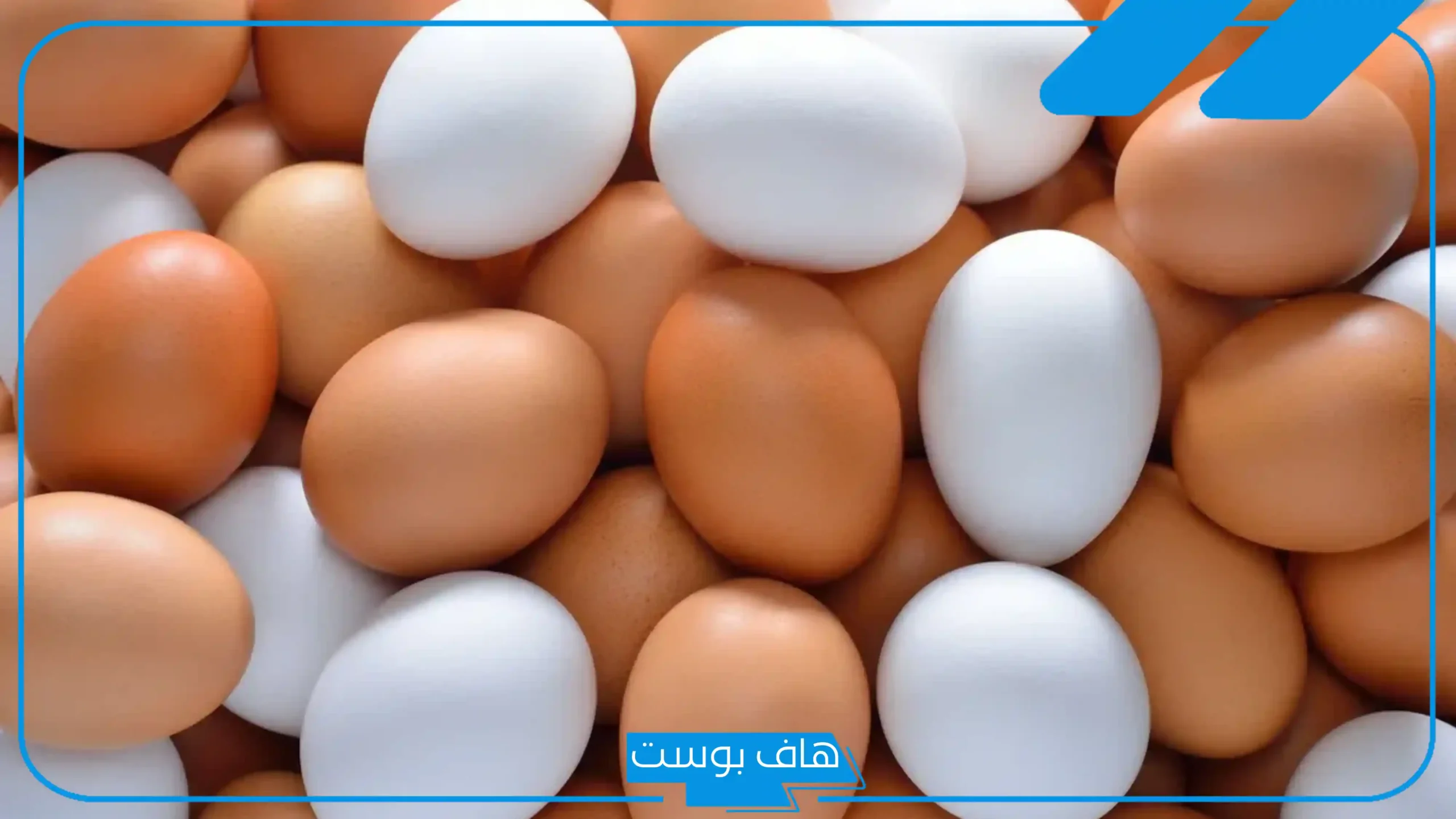 تفسير رؤية البيض في المنام للمتزوجة والعزباء والحامل على الأرض