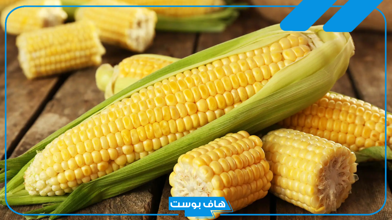 تفسير حلم الذرة مشوية وبيضاء في المنام للرجل والمرأة المتزوجة لابن سيرين