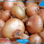 تفسير حلم اكل البصل في المنام لابن سيرين للرجل المتزوج والمرأة