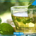 تفسير حلم النعناع في المنام للمرأة المتزوجة والعزباء والمطلقة والحامل