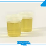 تفسير حلم البول في الحمام للرجل والمراة المتزوجة لابن سيرين