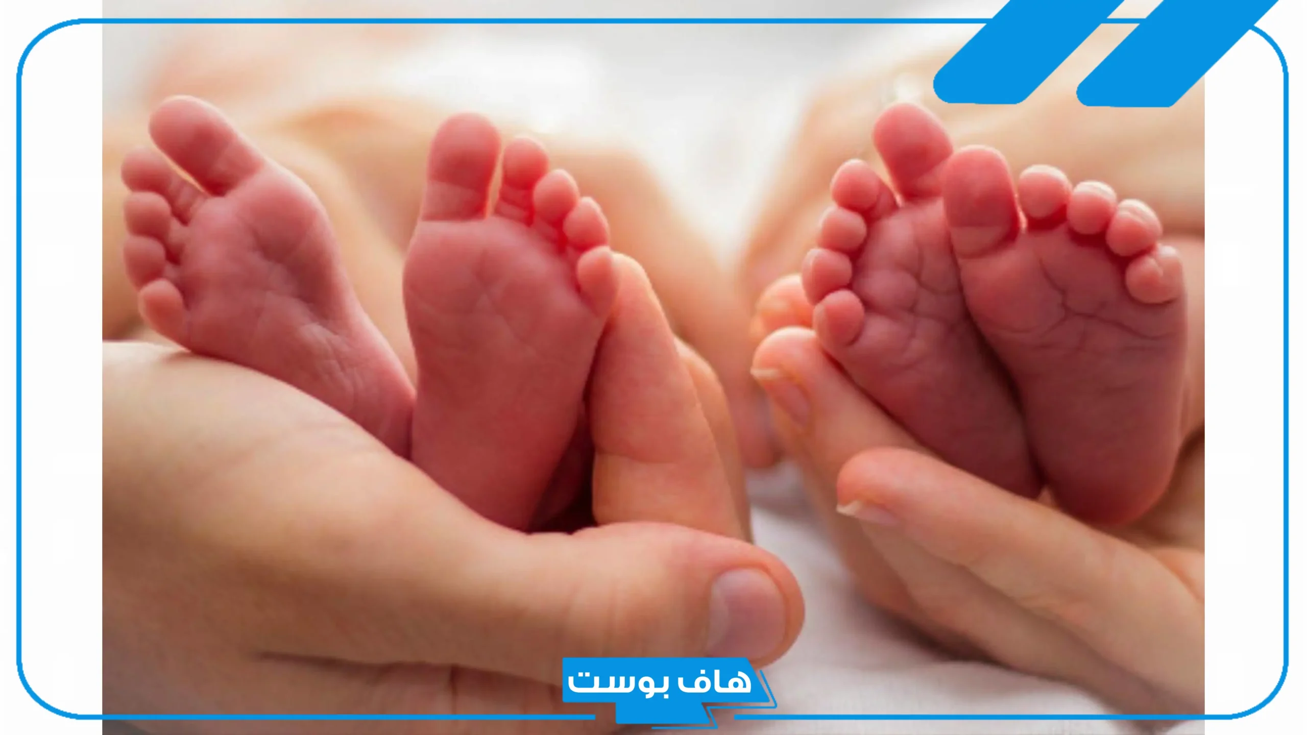 تفسير حلم التوأم في المنام لمن ليس له توأم لابن سيرين