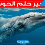 تفسير حلم رؤية الحوت في المنام للرجل والمرأة العزباء والمتزوجة